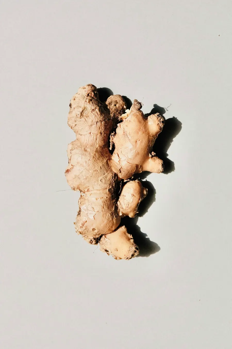 A single fresh ginger root on a plain surface