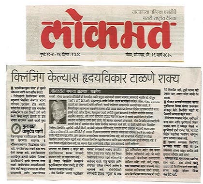 Lokmat, Goa